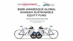 Bimb arabesque i global dividend fund