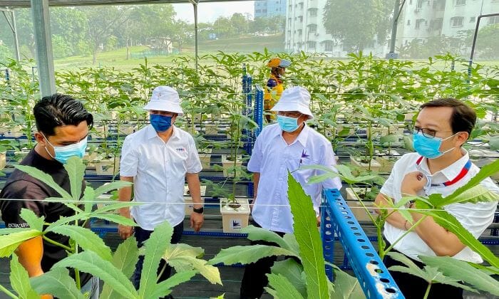 Malaysia Shows Commitment In Sustainable Farming