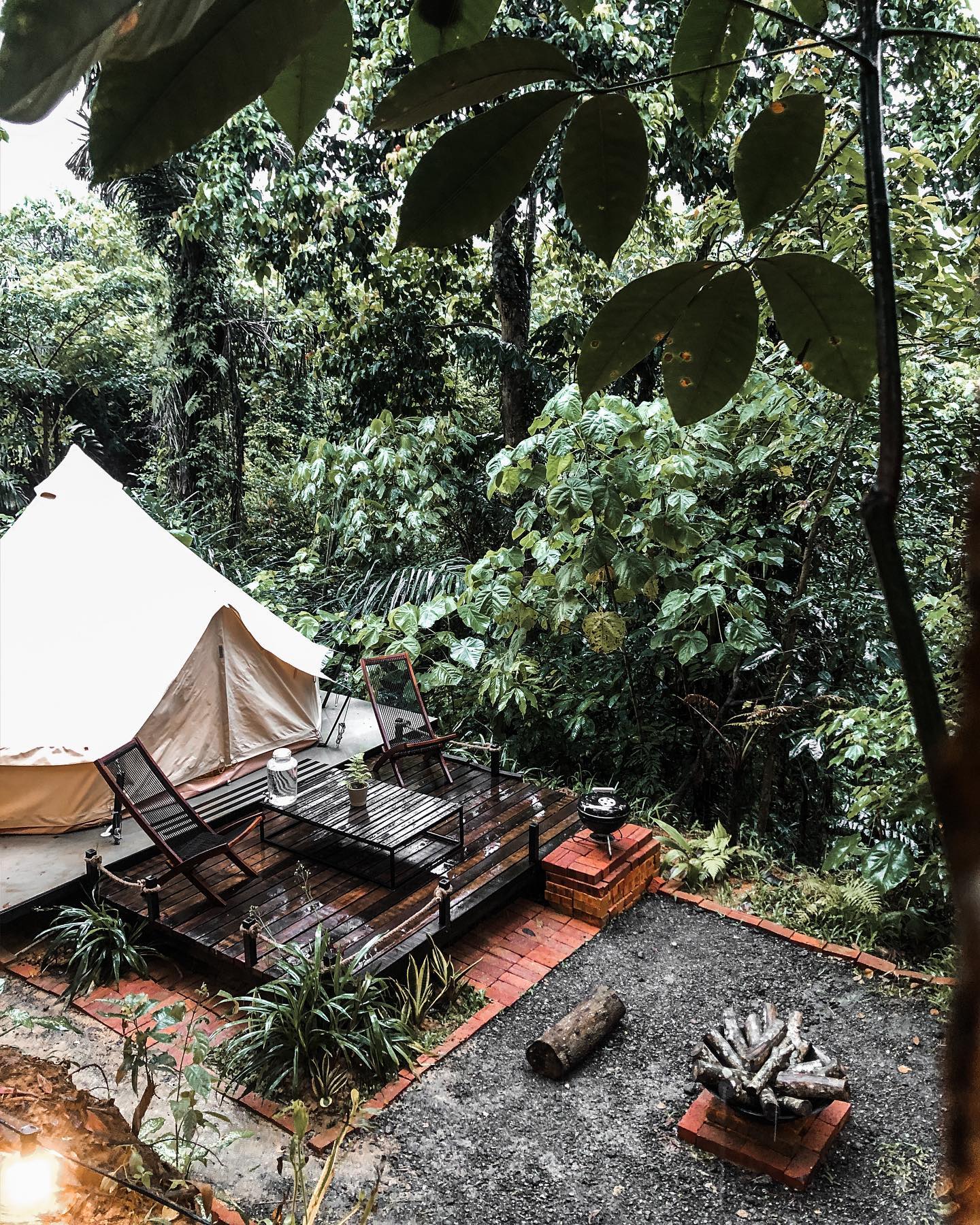 Get Connected With Nature In Lush Retreats Businesstoday