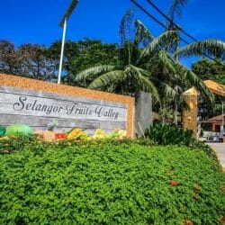 States Favourite Family Destination Selangor Fruit Valley Enjoys Upbeat Ticket Sales Businesstoday