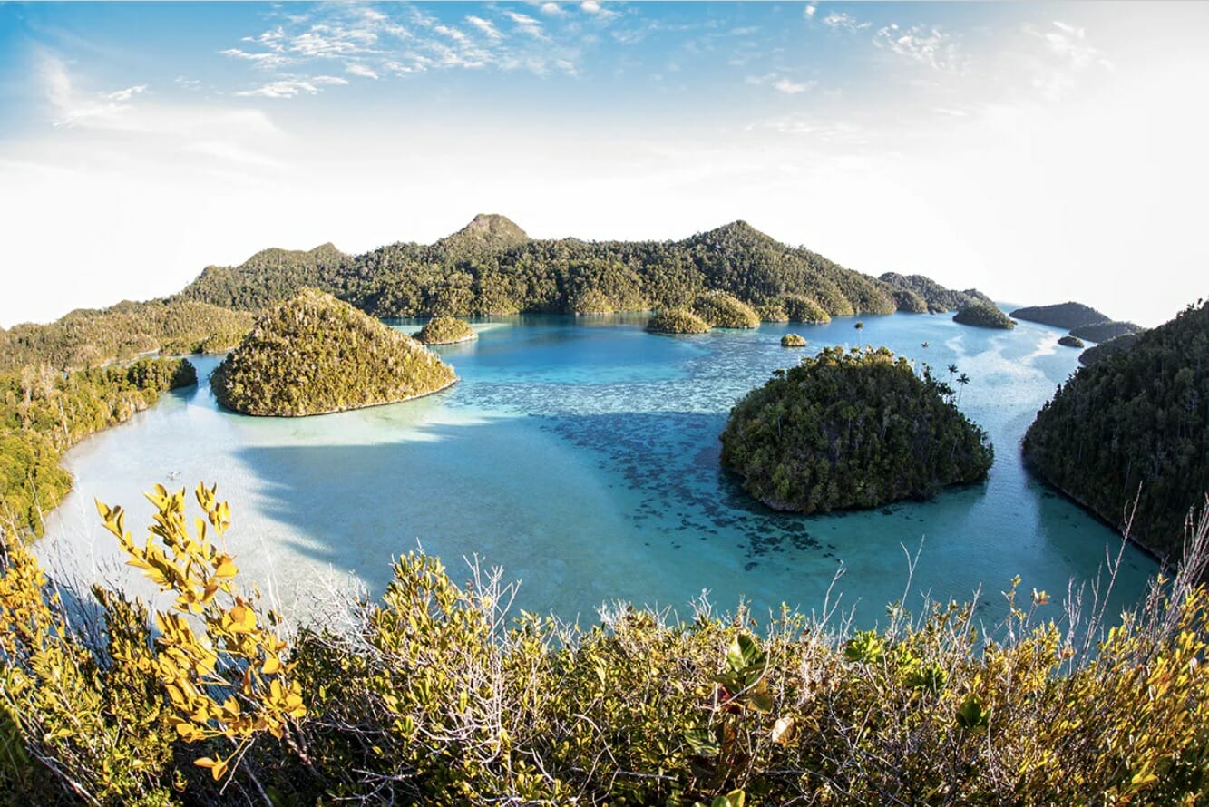 Raja Ampat, The Ultimate Pristine Paradise In West Papua BusinessToday