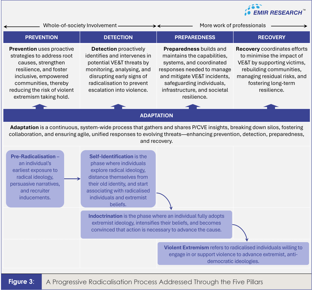 Closing the Gaps: Comprehensive Prevention And Countering Violent ...